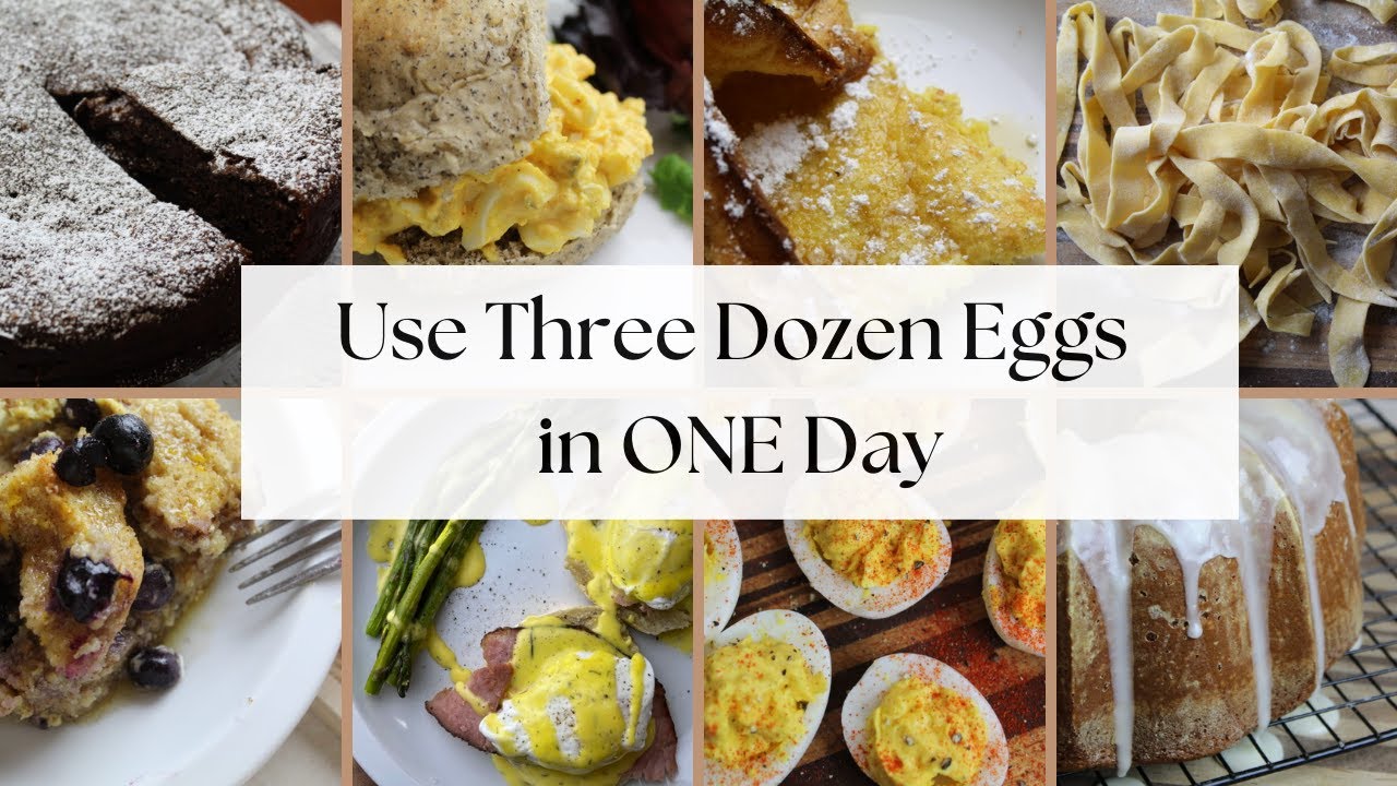 baking recipes using lots of eggs baking recipes using lots of eggs